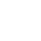 盆栽・装花 島津拓哉 Takuya Shimazu
