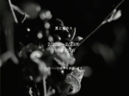 2月企画展「黒とガラス」