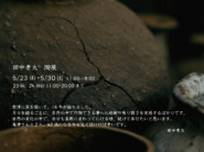 ［5月企画展］田中孝太　陶展