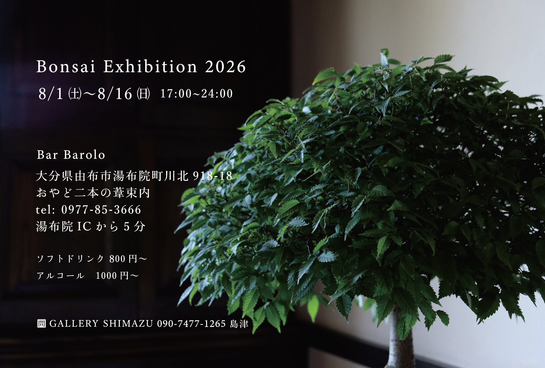 Bonsai Exhibition 2026
